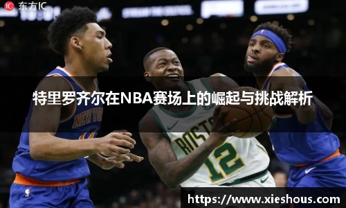 特里罗齐尔在NBA赛场上的崛起与挑战解析